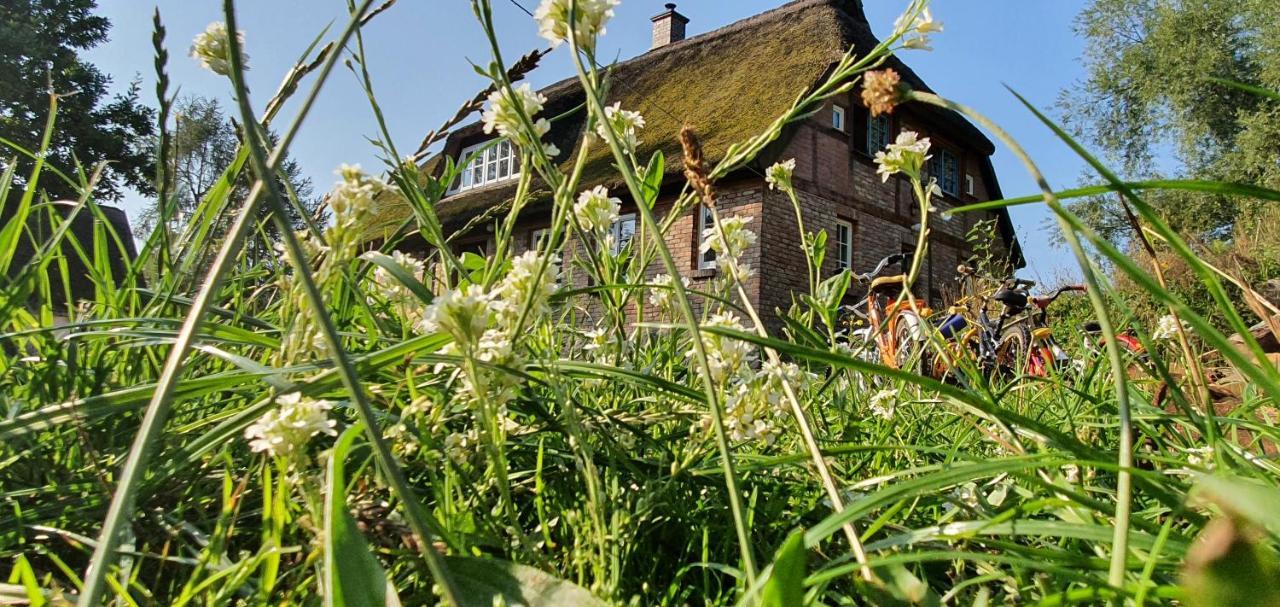 App. Tueddelkroms, 2-3 Pers., In Traumhafter Alleinlage, Nahe Binz Zirkow Bagian luar foto